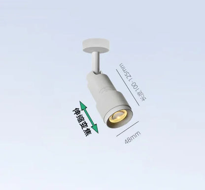 Eglo LED Ceiling Lamp Spot  Zoom 15-60 Degrees COB Downlights Track Light 7W 15W Lights AC220V Led Lights For Room Hotel Bedchamber